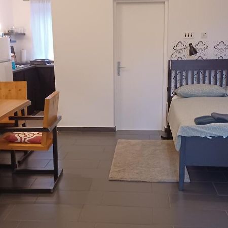 Studio Apartman Ada Samobor Eksteriør billede